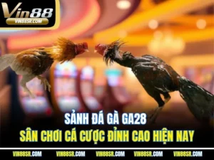 Sảnh Đá Gà Ga28 – Sân Chơi Cá Cược Đỉnh Cao Hiện Nay
