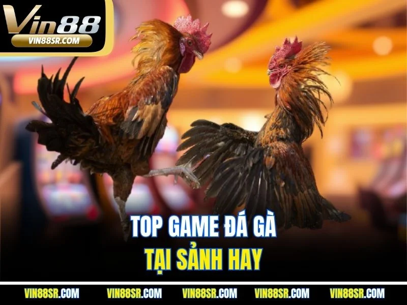 Top game đá gà tại sảnh hay 